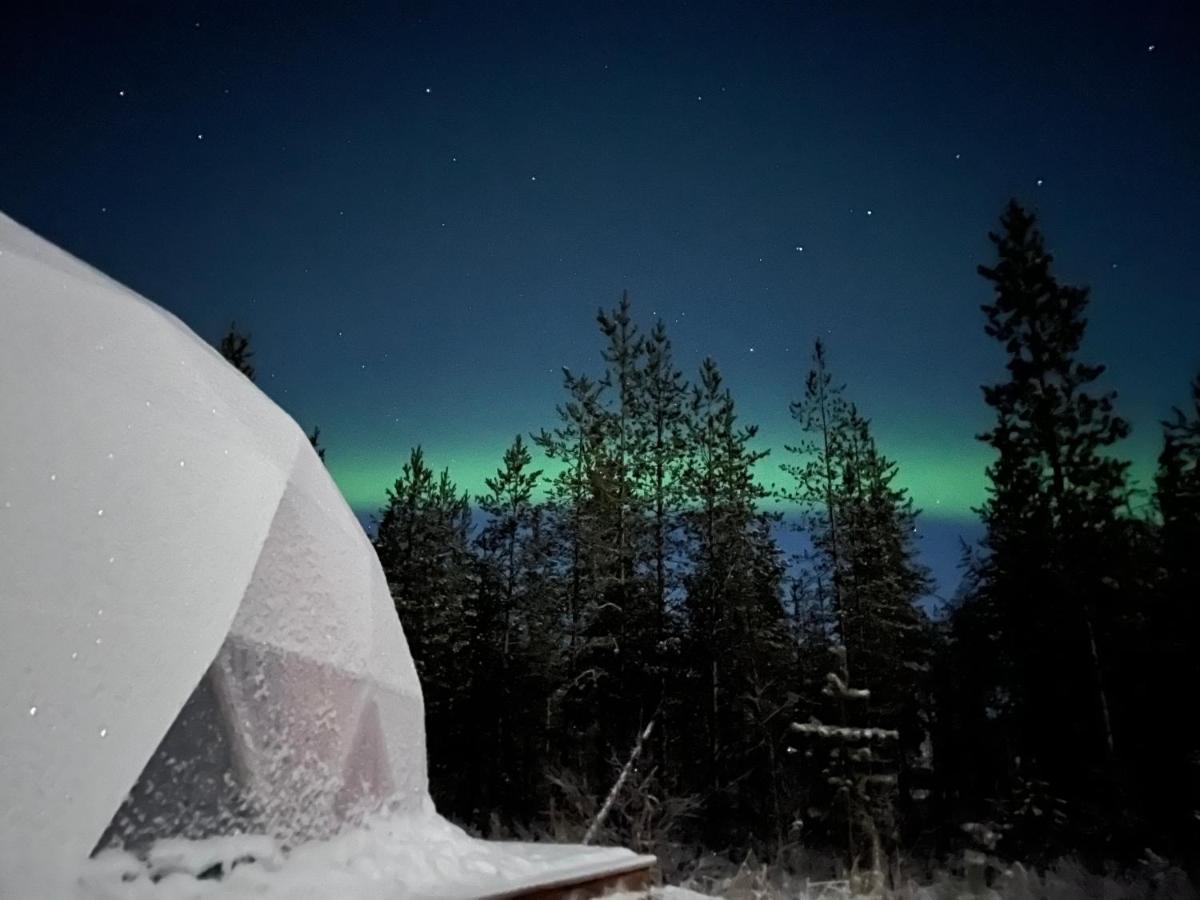 Aurora Igloo Fireplace-Heated Tents In A Secret Forest With Private Jacuzzi And Shared Sauna Bathroom And Dog Friendly Rovaniemi Zewnętrze zdjęcie