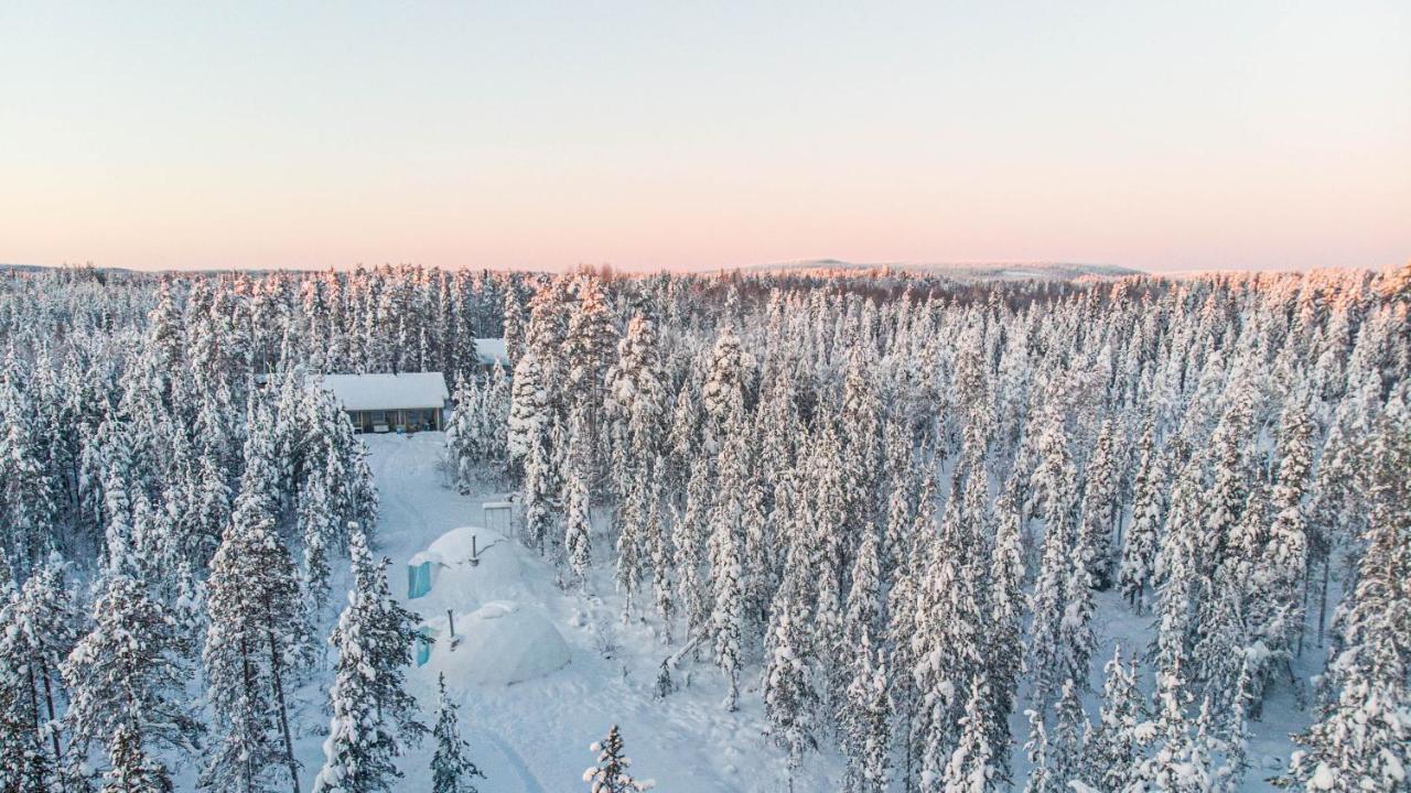 Aurora Igloo Fireplace-Heated Tents In A Secret Forest With Private Jacuzzi And Shared Sauna Bathroom And Dog Friendly Rovaniemi Zewnętrze zdjęcie