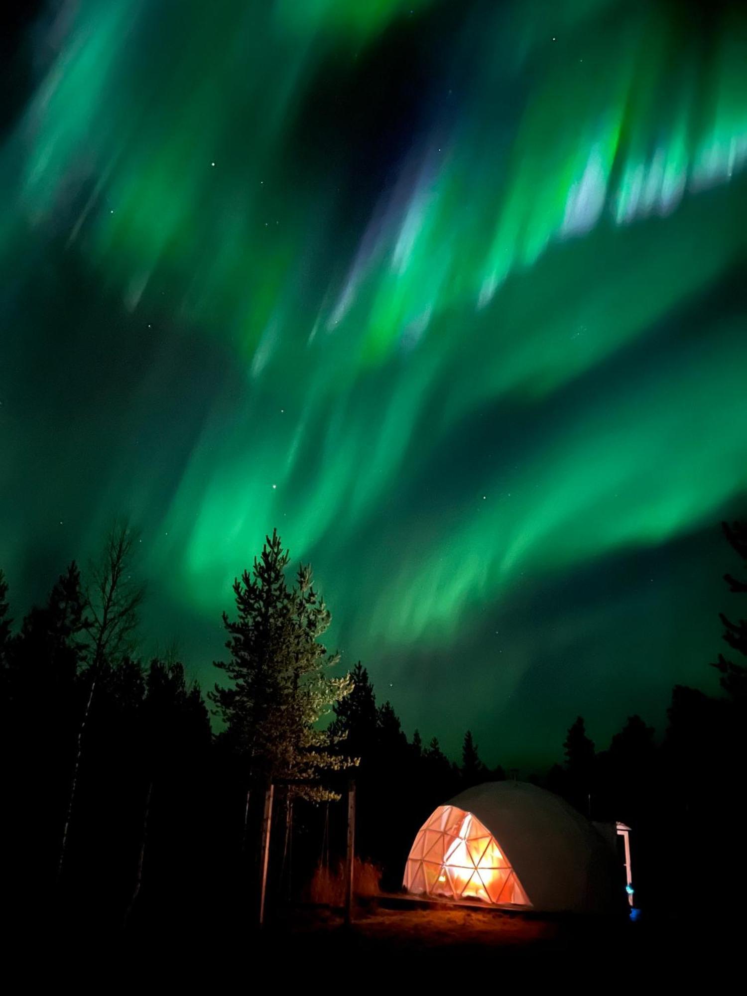Aurora Igloo Fireplace-Heated Tents In A Secret Forest With Private Jacuzzi And Shared Sauna Bathroom And Dog Friendly Rovaniemi Zewnętrze zdjęcie
