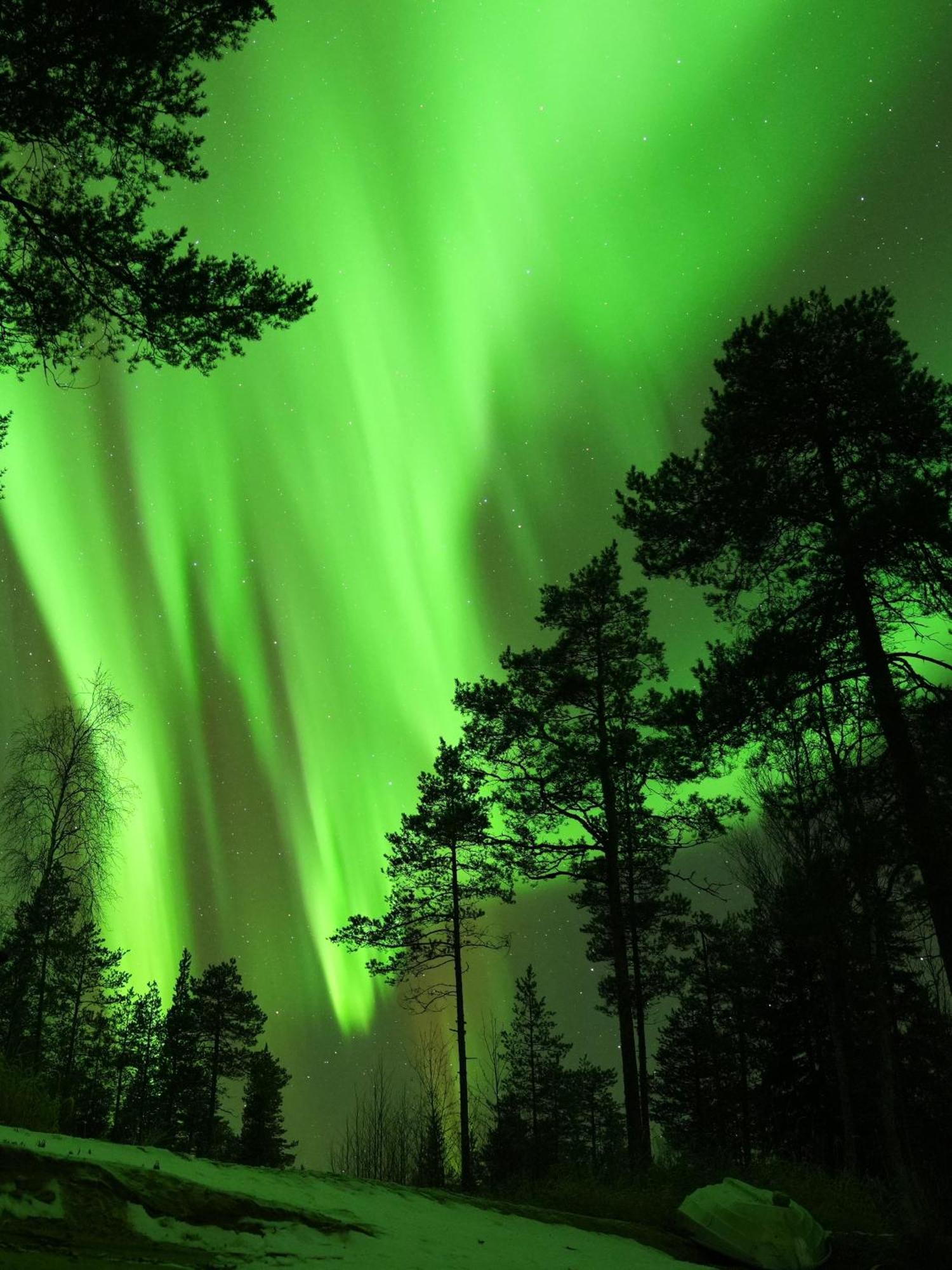 Aurora Igloo Fireplace-Heated Tents In A Secret Forest With Private Jacuzzi And Shared Sauna Bathroom And Dog Friendly Rovaniemi Zewnętrze zdjęcie